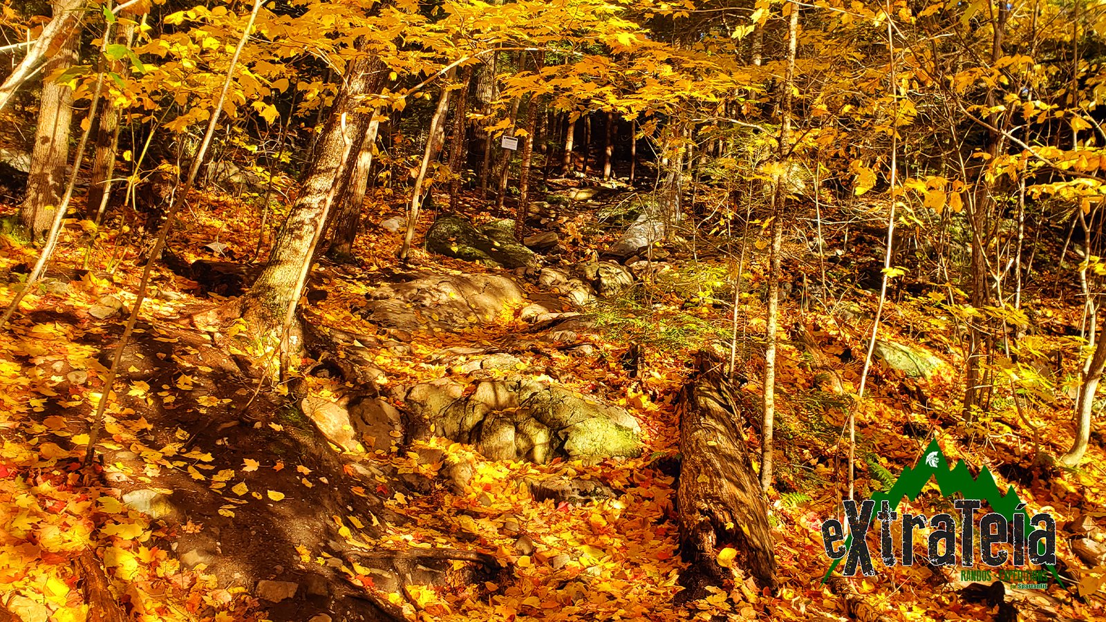 The Crack | Guide de randonnée • Hiking guide | Blogue • Blog | eXtrateia • Ruck Club et randonnée | Kompra Bootcamp • Sainte-Julie